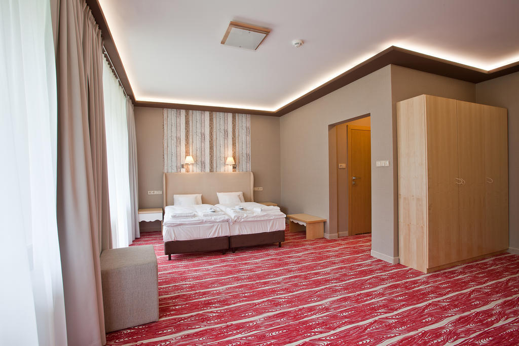 Hotel Piwniczna Spa&Conference Værelse billede